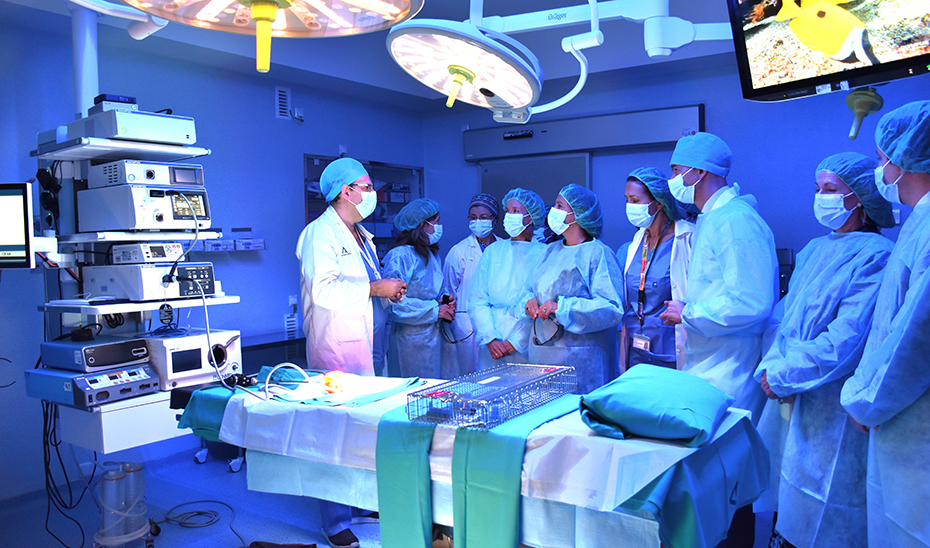 Imagen del artículo Catalina García visita el nuevo quirófano inteligente integrado del Reina Sofía para cirugías complejas y trasplantes